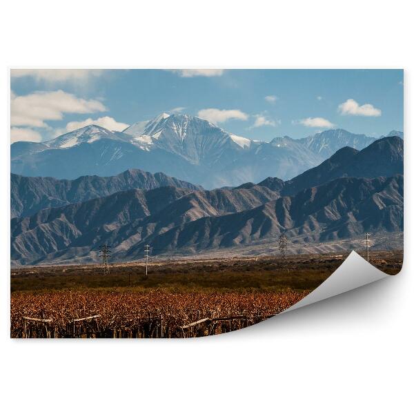 Fototapeta na stenu Sopka aconcagua vinice argentínska obloha mraky sneh