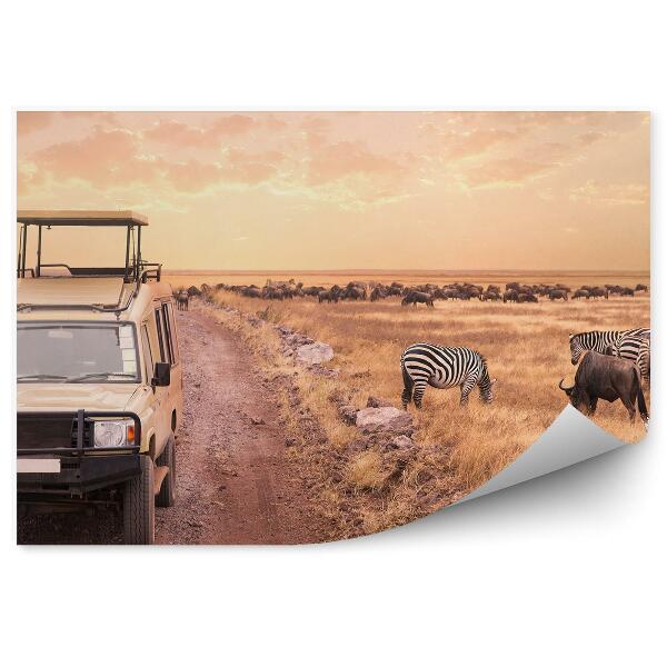 Fototapeta na stenu Zebra Antilopa Antilopa Safari Zvieratá Cestovanie