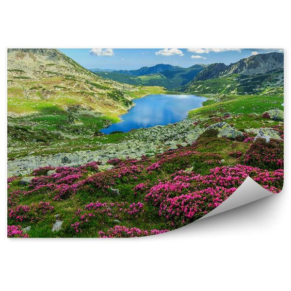 Fototapeta na stenu Azalkové Kvety Horská Tráva Jazero Obloha Mraky