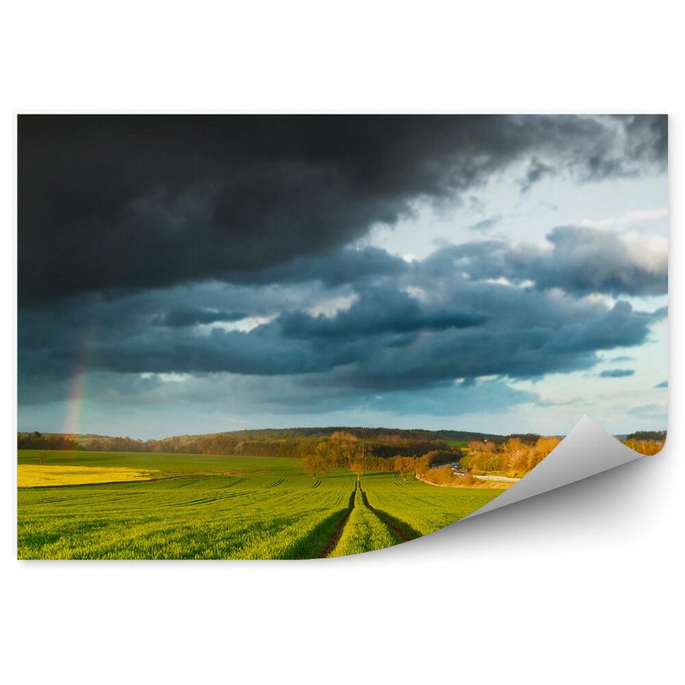 Fototapeta na stenu Pole Stromy Obloha Mraky Dúha