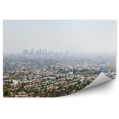 Fototapeta na stenu Letecký pohľad los angeles budovy stromy