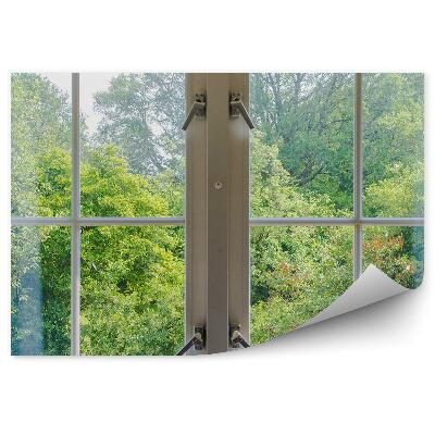 Fototapeta Stromy les príroda zeleň za oknom