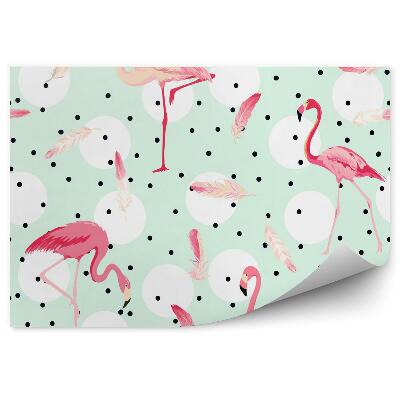 Fototapeta Ružové plameniaky