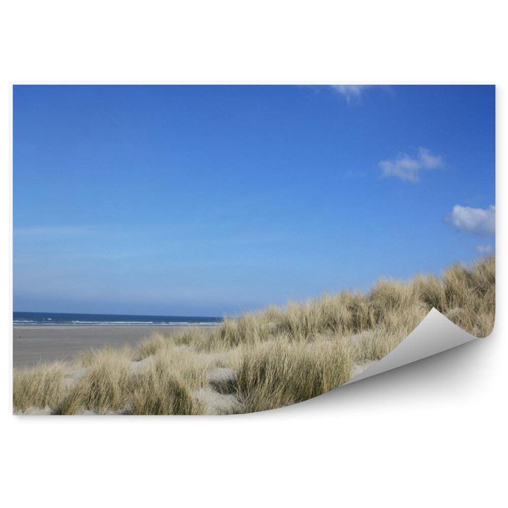 Fototapeta Oceán Duny Pláž Tráva Ostrov Terschelling Obloha Mraky