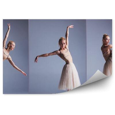 Fototapeta na stenu Mladá Žena Baletka Sivé Pozadie Dlhá Sukňa