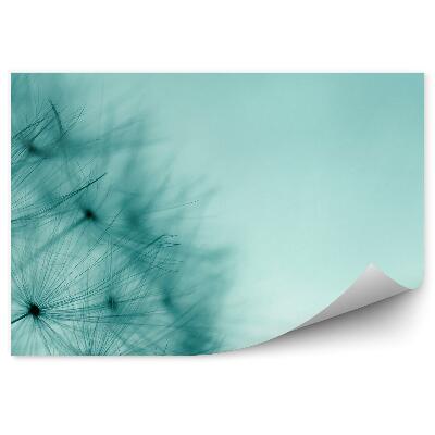 Fototapeta Dúhovka Semená Rastliny