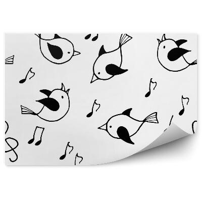 Fototapeta Spievajúce vtáky a noty 