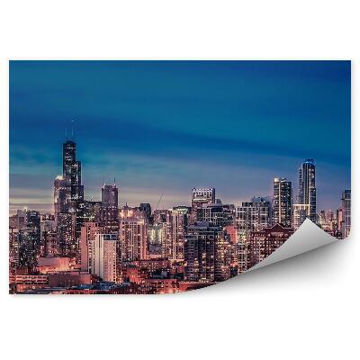Fototapeta Panoráma chicago mrakodrapy budovy obloha svetlo