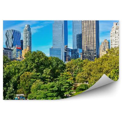 Fototapeta Pohľad central park stromy tráva alej ľudia New York