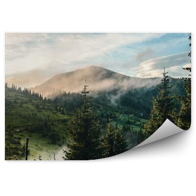 Fototapeta Vrchol Hory Ihličnaté Stromy Obloha Mraky Hmla