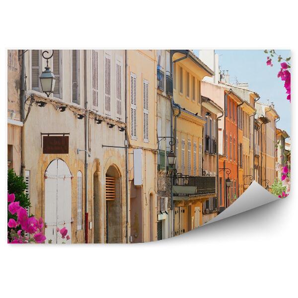 Fototapeta na stenu Krásne staré mesto Provence kvety ulička Francúzsko