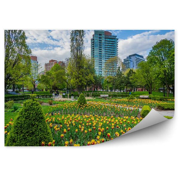 Fototapeta Toronto záhrada kvety tulipány jar