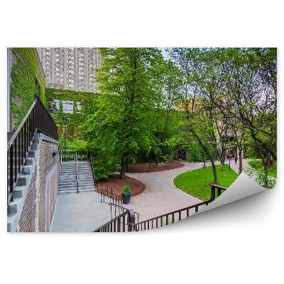 Fototapeta na stenu Arhitektura stopnišča v univerzitetnem mestu