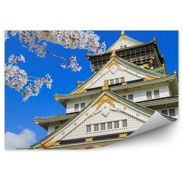 Fototapeta Kvety kvitnúce na strome hrad osaka japonsko