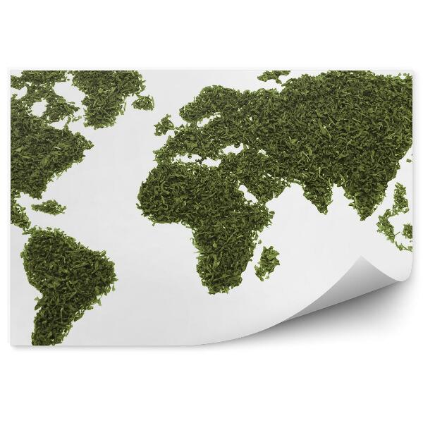 Fototapeta Mapa sveta so sušenými listami