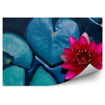 Fototapeta na stenu Lekná Na Rybníku Pohľad Zhora