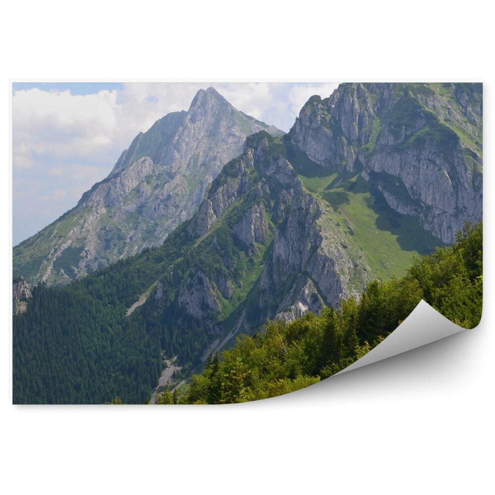 Fototapeta Pohľad giewont tatry stromy obloha mraky