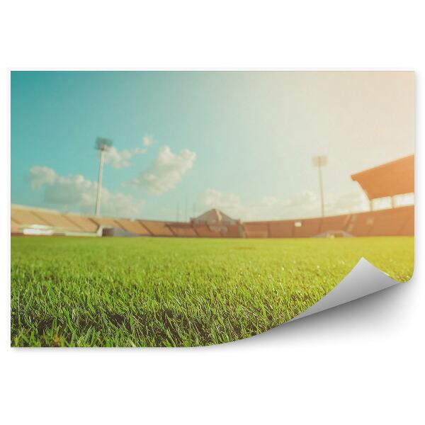 Fototapeta Nogometni stadion z zeleno travo