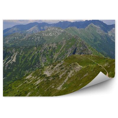 Fototapeta Starorobociański wierch hory tatry obloha mraky