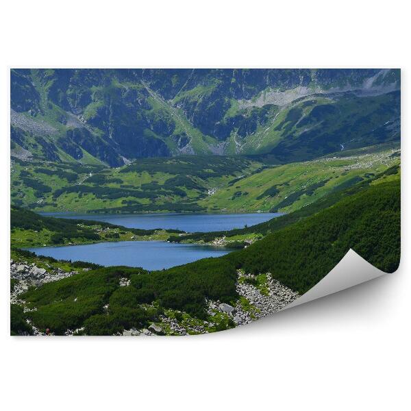 Fototapeta na stenu Dolina pięciu stawów tatry hory obloha mraky