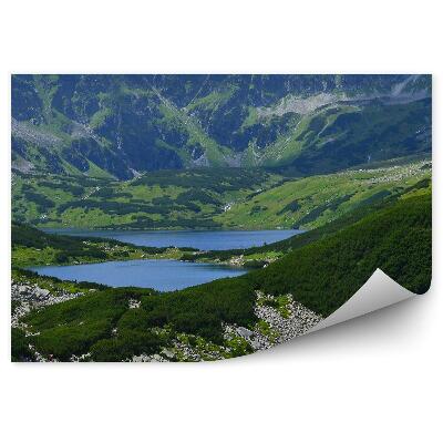 Fototapeta na stenu Dolina pięciu stawów tatry hory obloha mraky
