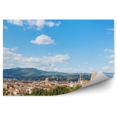 Fototapeta na stenu Mesto Florida Hory Stromy Zelená Fontána Obloha Mraky