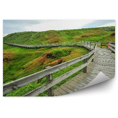 Fototapeta Lesena ploščad zelena polja trava