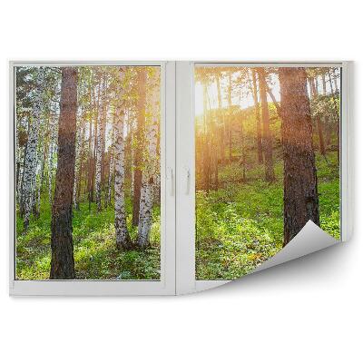 Fototapeta Stromy brezy les kopec pohľad za oknom