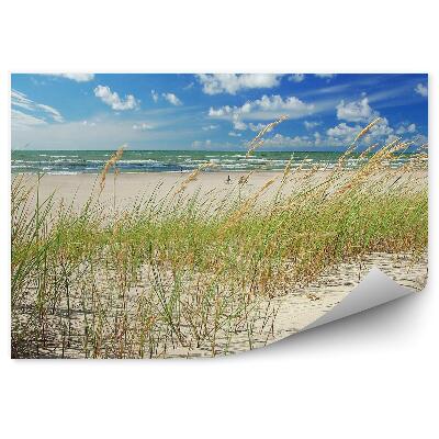 Fototapeta na stenu Plážové Duny Tráva Oceán Obloha Mraky Ventspils Lotyšsko