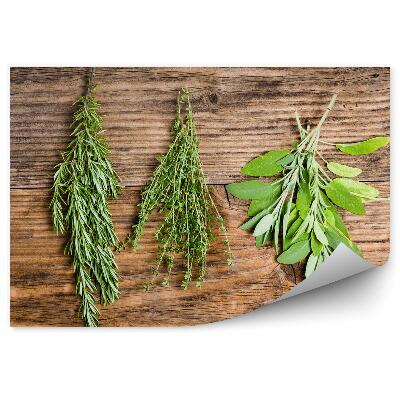 Fototapeta Rozmarín tymián šalvia čerstvé bylinky vetvičky