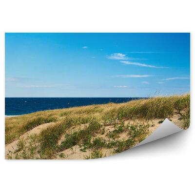 Fototapeta Krajina Pláž Duny More Obloha Mraky