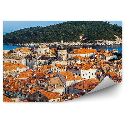 Fototapeta na stenu Staré Mesto Dubrovnik Ostrov Príroda Rastliny