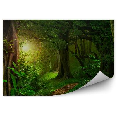 Fototapeta na stenu Príroda Príroda Džungľa Thajsko Stromy