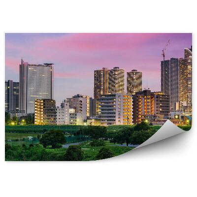 Fototapeta na stenu Pohľad z vtáčej perspektívy ružová obloha Tokio Japonsko svetlá stromy