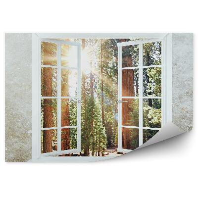 Fototapeta Výhľad z okna na stenu les slnko