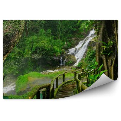 Fototapeta Thajsko vodopád most mach rastliny