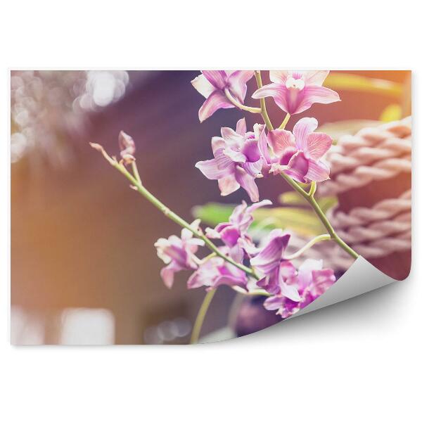 Fototapeta Ružové Kvety Orchidey Šnúry Stromov