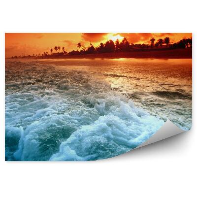 Fototapeta Vlny Oceánu Západ Slnka Stromy Letecký Pohľad