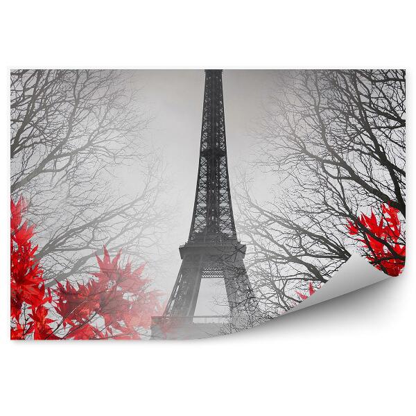 Fototapeta Eiffelova veža Paríž stromy javorové listy