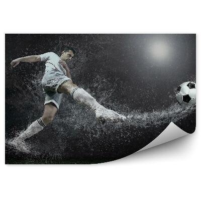 Fototapeta na stenu Kopanje žoge, ki pada v vodo