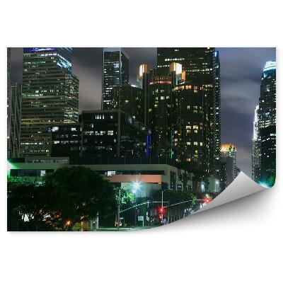 Fototapeta na stenu Mrakodrapy ulice autá stromy noc mesiac
