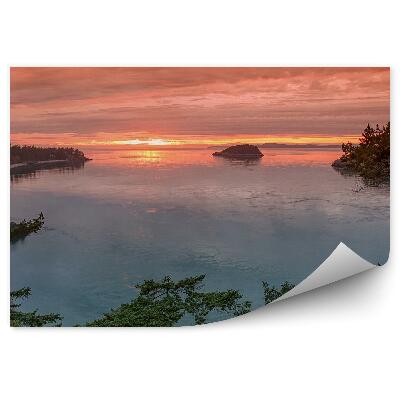 Fototapeta na stenu Západ slnka stromy záliv skala