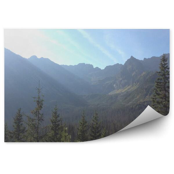 Fototapeta Morskie oko hory ihličnaté stromy nebo tatry