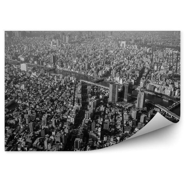 Fototapeta Sépia pohľad z vtáčej perspektívy Tokio Japonsko