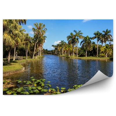 Fototapeta na stenu Ľalia Rieka Palmy Tráva Lavička Most