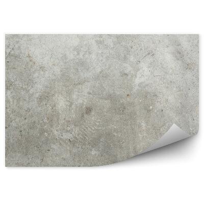 Fototapeta na stenu Stará betónová stena