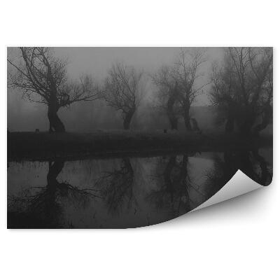 Fototapeta Tmavý les jazero