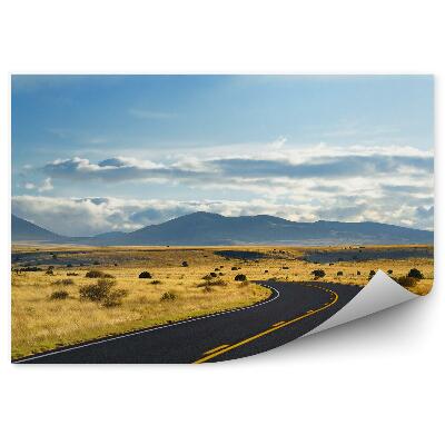 Fototapeta Arizona Púštna Cesta Hory