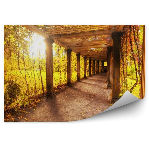 3d fototapeta Krásny jesenný park