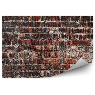 Fototapeta na stenu Stará tehlová stena